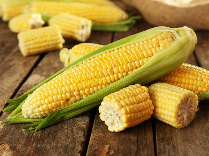 Proven Benefits Of Corn