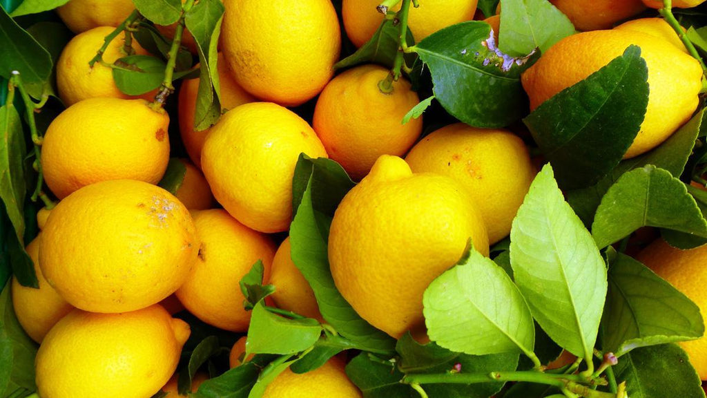 Benefits and Side Effects of Lemon Juice