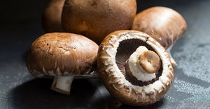 💧Types Of Mushrooms & How To Use Them💧
