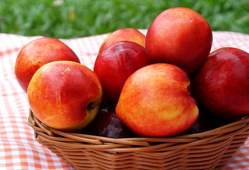 Surprising Benefits Of Nectarines