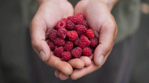 Impressive Benefits Of Raspberries